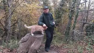 Игорек на крымских просторах