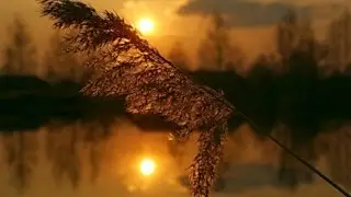 Любимый саундтрек из фильма ТРОЯ
