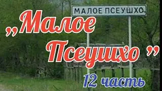 Малое Псеушхо - 12 часть.