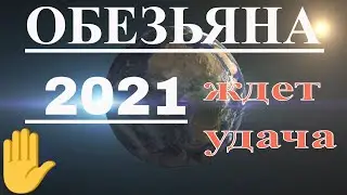 Обезьяна в год 2021, в год Металлического Быка. Гороскоп на год.