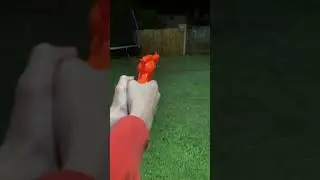 Gun.