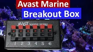 Avast Marine Breakout Box for Neptune Apex Review