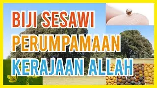 Mengenal Biji Sesawi perumpamaan Tuhan Yesus mengenai hal Kerajaan Allah.