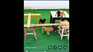 Никогда не сдавайтесь | Never give up