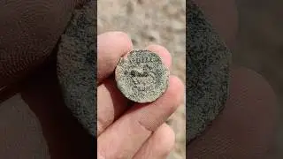 Vzácná mince s koněm nalezená detektorem kovů #metaldetecting #metaldetector #archaeology #coin