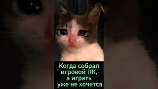 когда собрал игровой пк а играть уже не хочется 