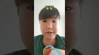 🧽🪟
