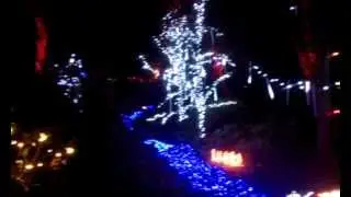 Flowing River - Garden d'Lights at Bellevue Botanical Garden
