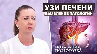 Обнаружение заболеваний печени через УЗИ