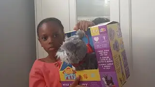 Toy puppy review