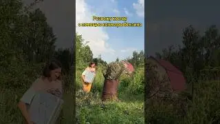 Вы бы до такого не додумались 😳