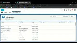 Create Record Types on the Position Object   Salesforce Trailhead