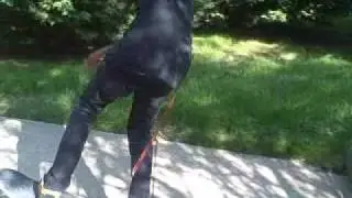 homojo