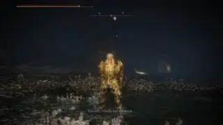 Malenia vs dual curve sword