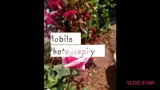 Nature Mobile Photography  | shot on Motorola Macro One