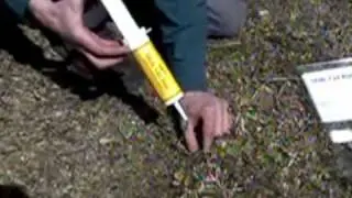 Mole Control with Kaput Mole Gel Bait.