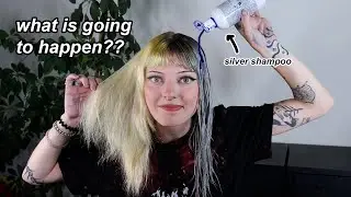 can silver shampoo get rid of my YELLOW hair???