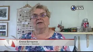 ВГТК "Вельск 24". В Устьянском округе деревенский дом стал семейным музеем.