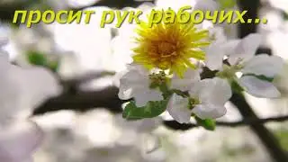 Сад-огород