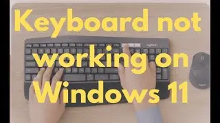 how to fix computer keyboard not working on windows 11