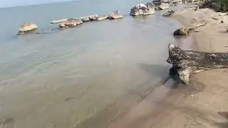 Верим в будущее