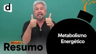 BIOLOGIA: METABOLISMO ENERGÉTICO | MINUTO RESUMO | DESCOMPLICA
