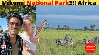 My First Ever African Safari!!!! Mikumi National Park