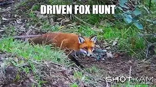 Fox Hunting - by ShotKam