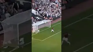 Save✔️