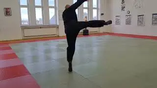 Ninjutsu die 1 Stunde Part III