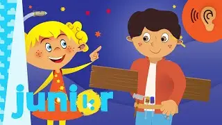 timmerman | Kaatjes Rararaadjes | Ketnet Junior