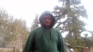 VID 20220318 152551