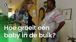 Hoe groeit een baby in de buik?