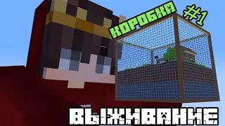ВЫЖИВАНИЕ В КОРОБКЕ #1
