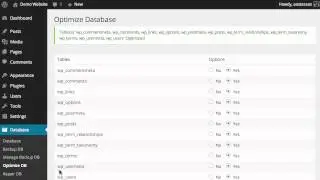 WP-DBManager: How to Optimize and Repair Database Tables