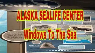 ALASKA SEALIFE CENTER,SEWARD ALASKA 2022
