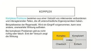 Cynefin Framework