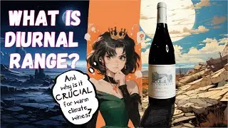 Wine Quality & Diurnal Range | Snow Mountain Pinot Noir 2021 | HanDrinksSolo Wine Review 260