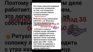 18 августа 2024 г.