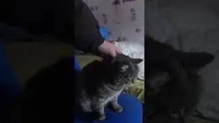 Деловая колбаса