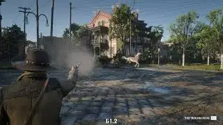RDR2 - RTX 3080 and Game Filter - 4K 60FPS