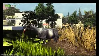 ...GOAT SIMULATOR