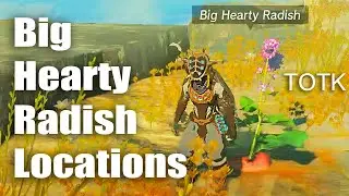 Big Hearty Radish Locations - The Legend of Zelda Tears of the Kingdom