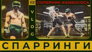 Спарринги | Камил Балла | Соперник Джорджа Камбососа | Сергей Воробьев. Путь к Чемпионству