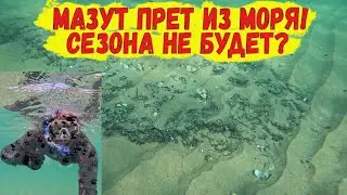 Анапа! Мазут прет из моря! Сезона не будет? Катастрофа лет на 400?