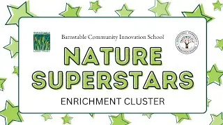 BCIS Nature Superstars