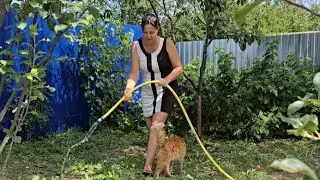 ✨️Лето запасиха-Зима прибериха ✨️Варенье🫐Помидоры🍅 Огурцы 🥒✨️