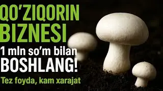 Qoʻziqorin biznesi 