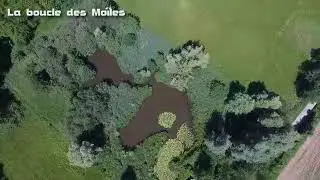 Ete nature