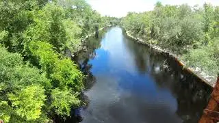 The bridge